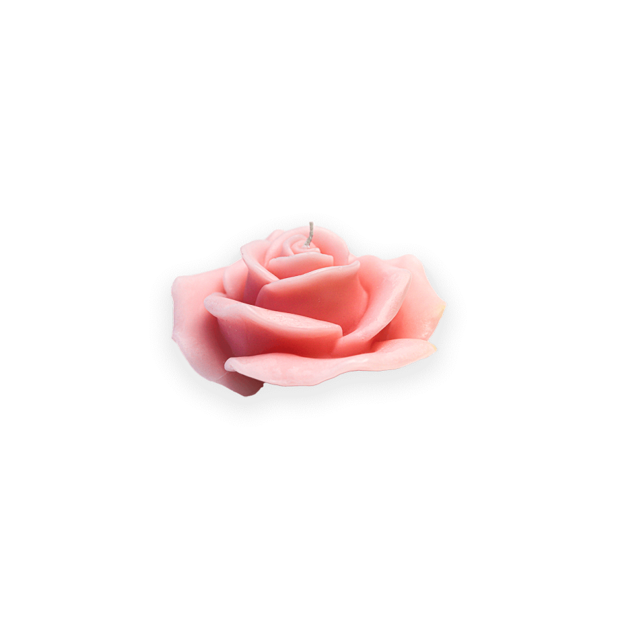 Bougie Rose