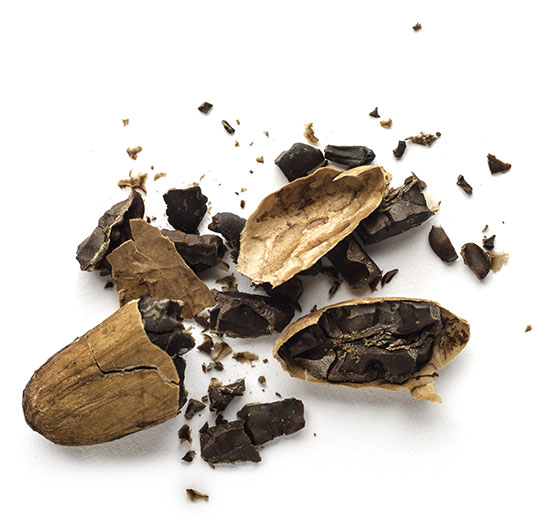 Extrait de cacao (theobroma cacao extract)