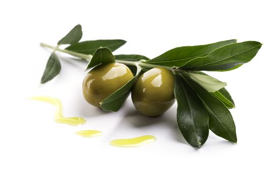 Huile d'olive : extrait du fruit (olea europaea fruit oil)